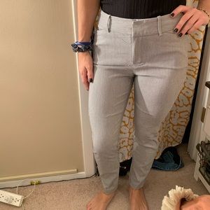 Pinstriped dress pants. Very flattering and comfortable